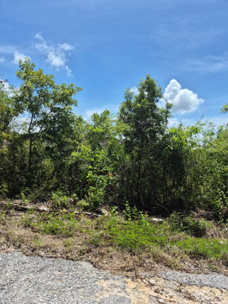 Fourth image of Block C-lot 92 Alpine Way in Albion, St. Thomas, Jamaica - property is For Sale