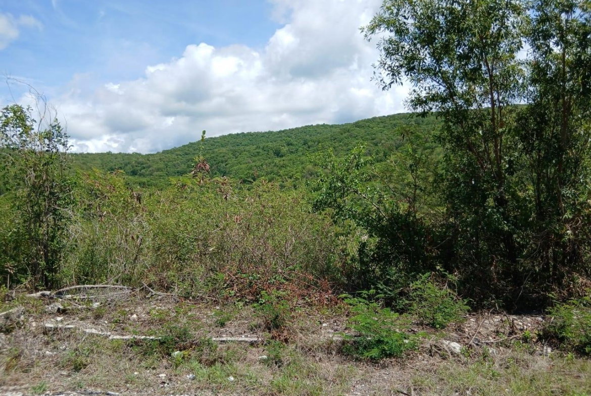 Second image of Block A-lot 96 Santa Cruz Road in Albion, St. Thomas, Jamaica - property is For Sale