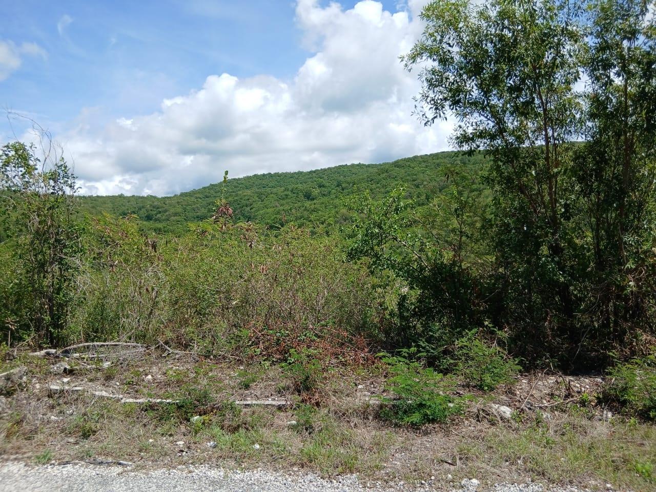 Second image of Block A-lot 96 Santa Cruz Road in Albion, St. Thomas, Jamaica - property is For Sale