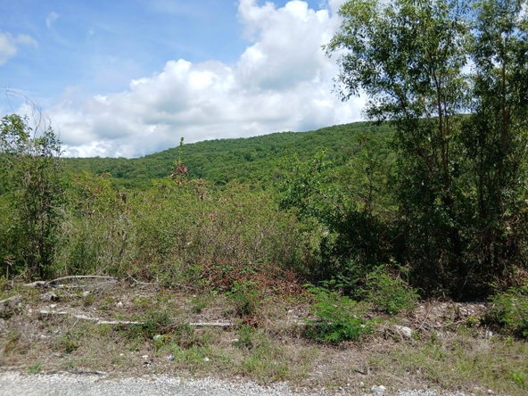 Second image of Block A-lot 96 Santa Cruz Road in Albion, St. Thomas, Jamaica - property is For Sale