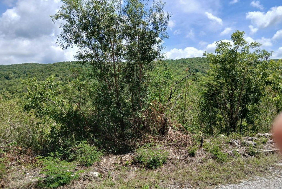 Third image of Block A-lot 96 Santa Cruz Road in Albion, St. Thomas, Jamaica - property is For Sale