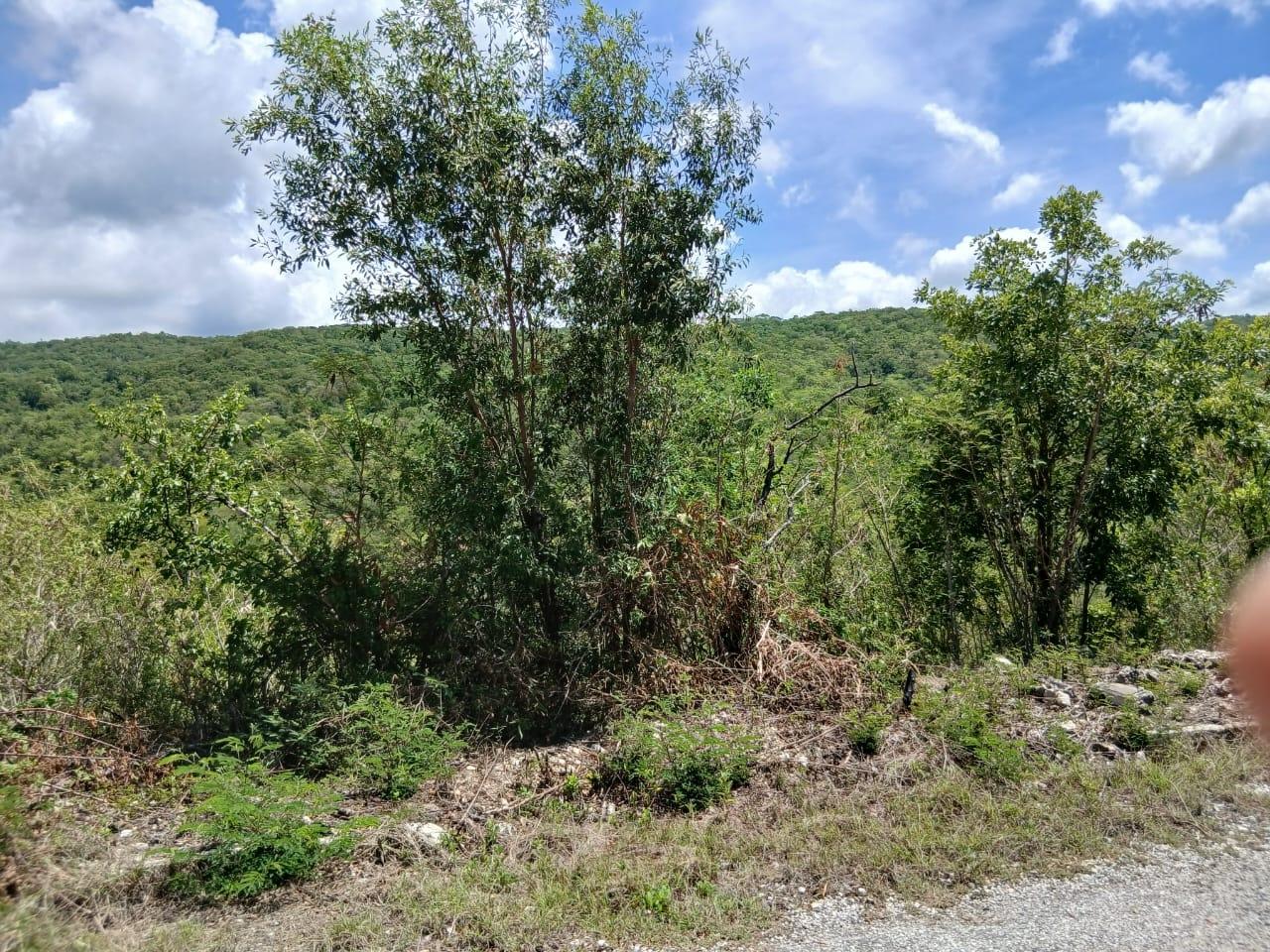 Third image of Block A-lot 96 Santa Cruz Road in Albion, St. Thomas, Jamaica - property is For Sale