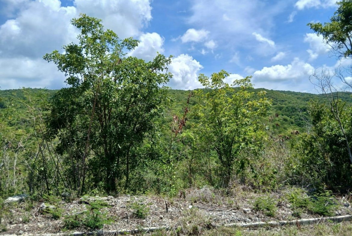 Fourth image of Block A-lot 96 Santa Cruz Road in Albion, St. Thomas, Jamaica - property is For Sale