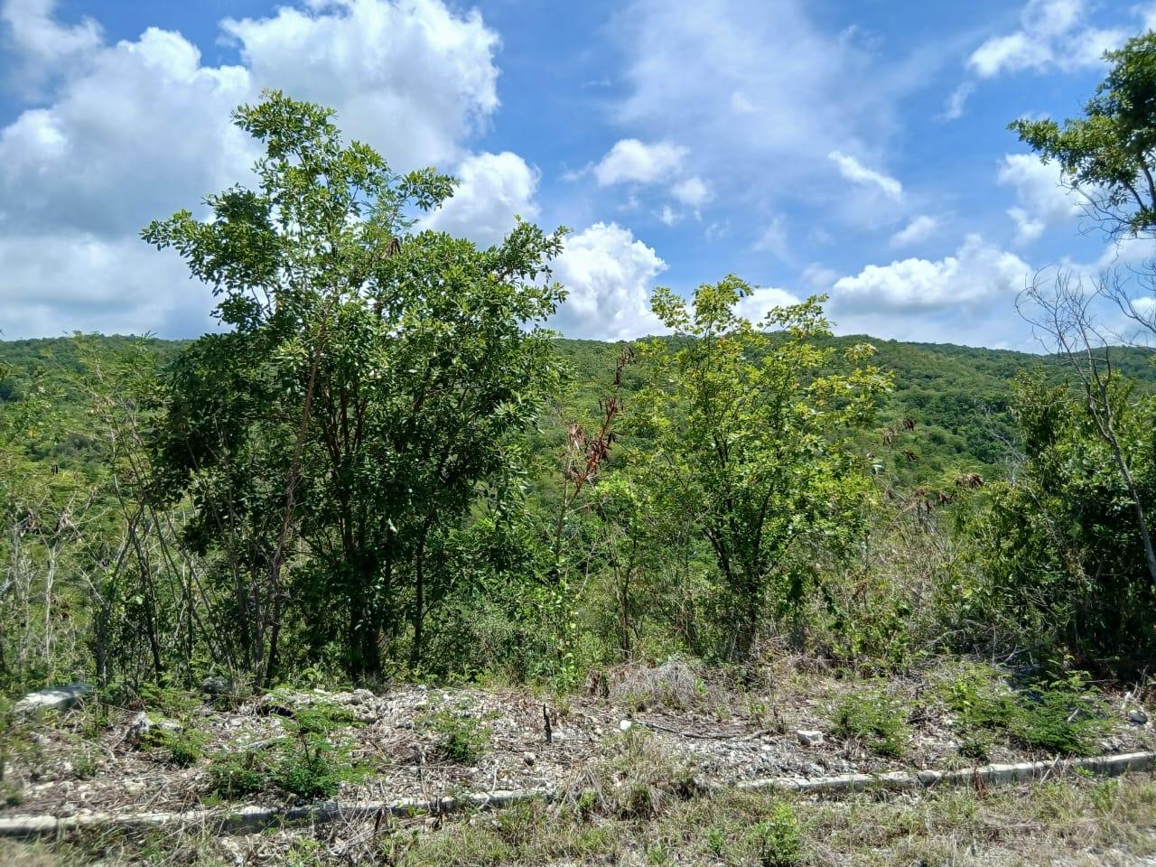 Fourth image of Block A-lot 96 Santa Cruz Road in Albion, St. Thomas, Jamaica - property is For Sale