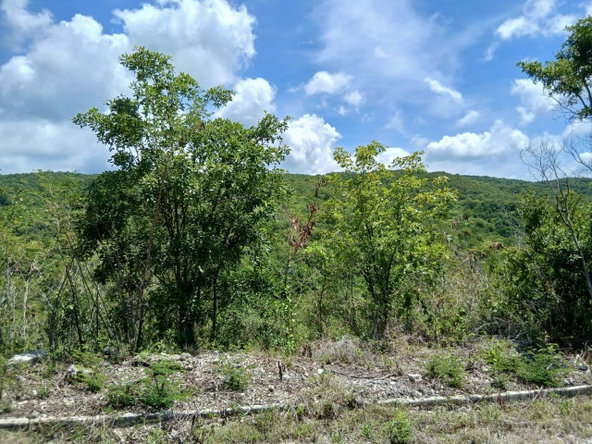 Fourth image of Block A-lot 96 Santa Cruz Road in Albion, St. Thomas, Jamaica - property is For Sale