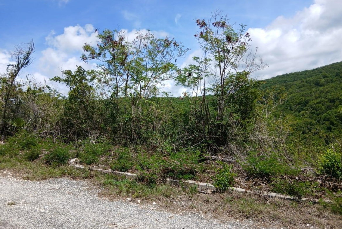 Third image of Block A-lot 95 Santa Cruz Road in Albion, St. Thomas, Jamaica - property is For Sale