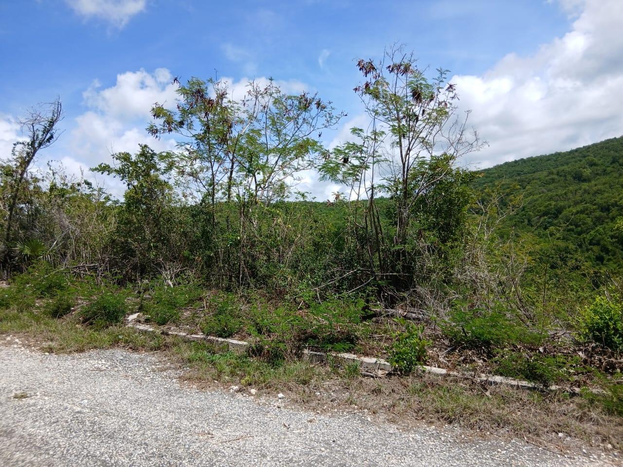 Third image of Block A-lot 95 Santa Cruz Road in Albion, St. Thomas, Jamaica - property is For Sale