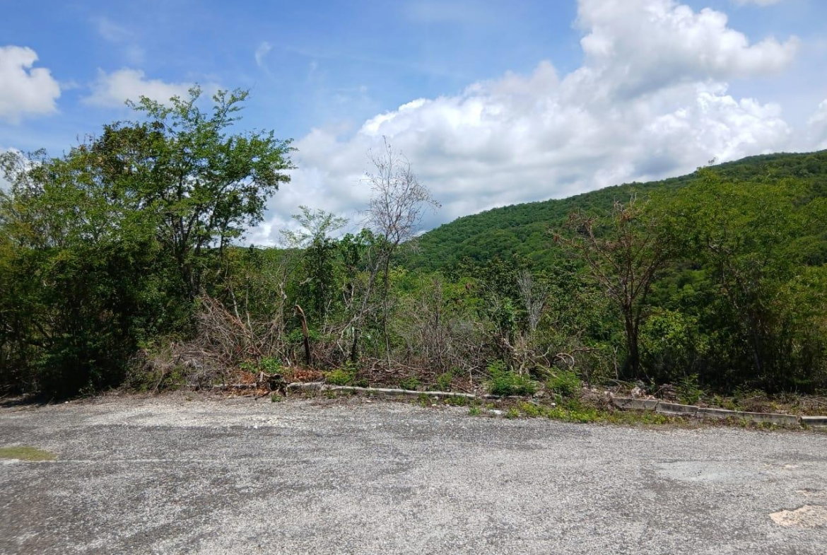 Fourth image of Block A-lot 95 Santa Cruz Road in Albion, St. Thomas, Jamaica - property is For Sale
