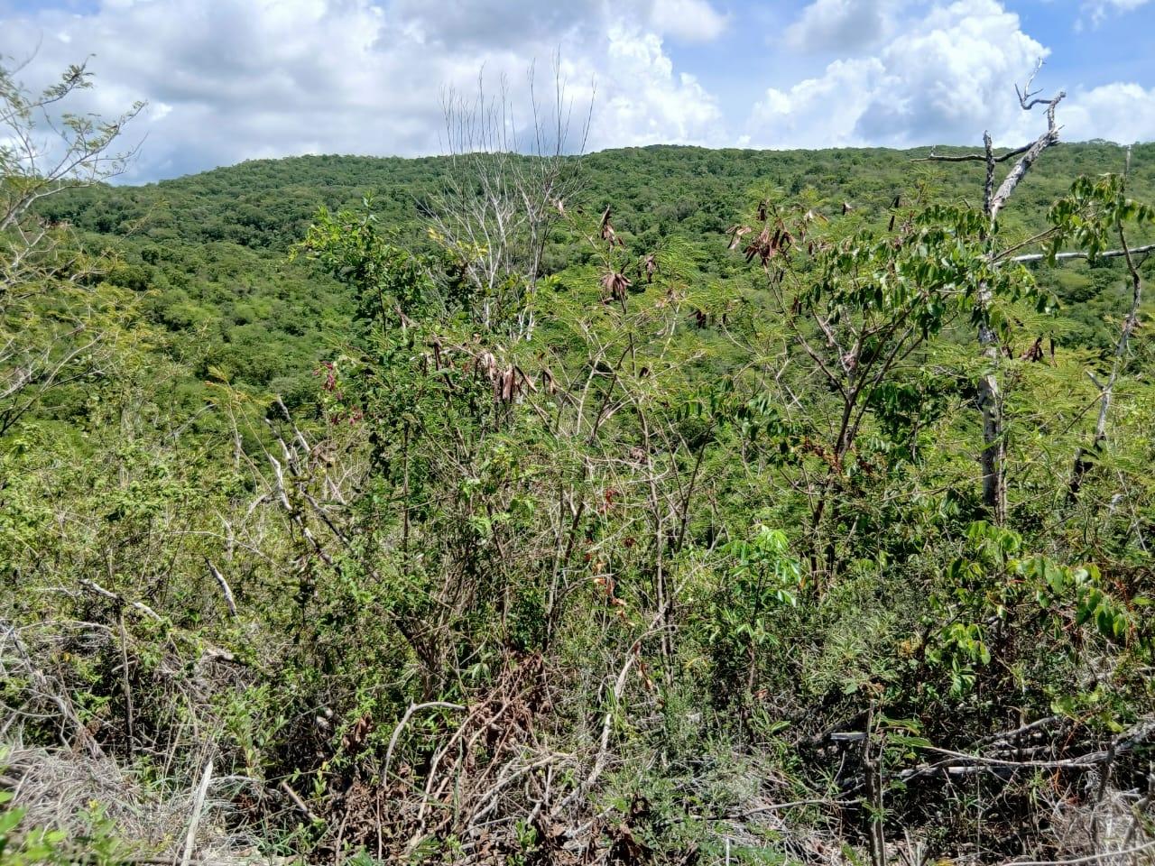Fifth image of Block A-lot 95 Santa Cruz Road in Albion, St. Thomas, Jamaica - property is For Sale