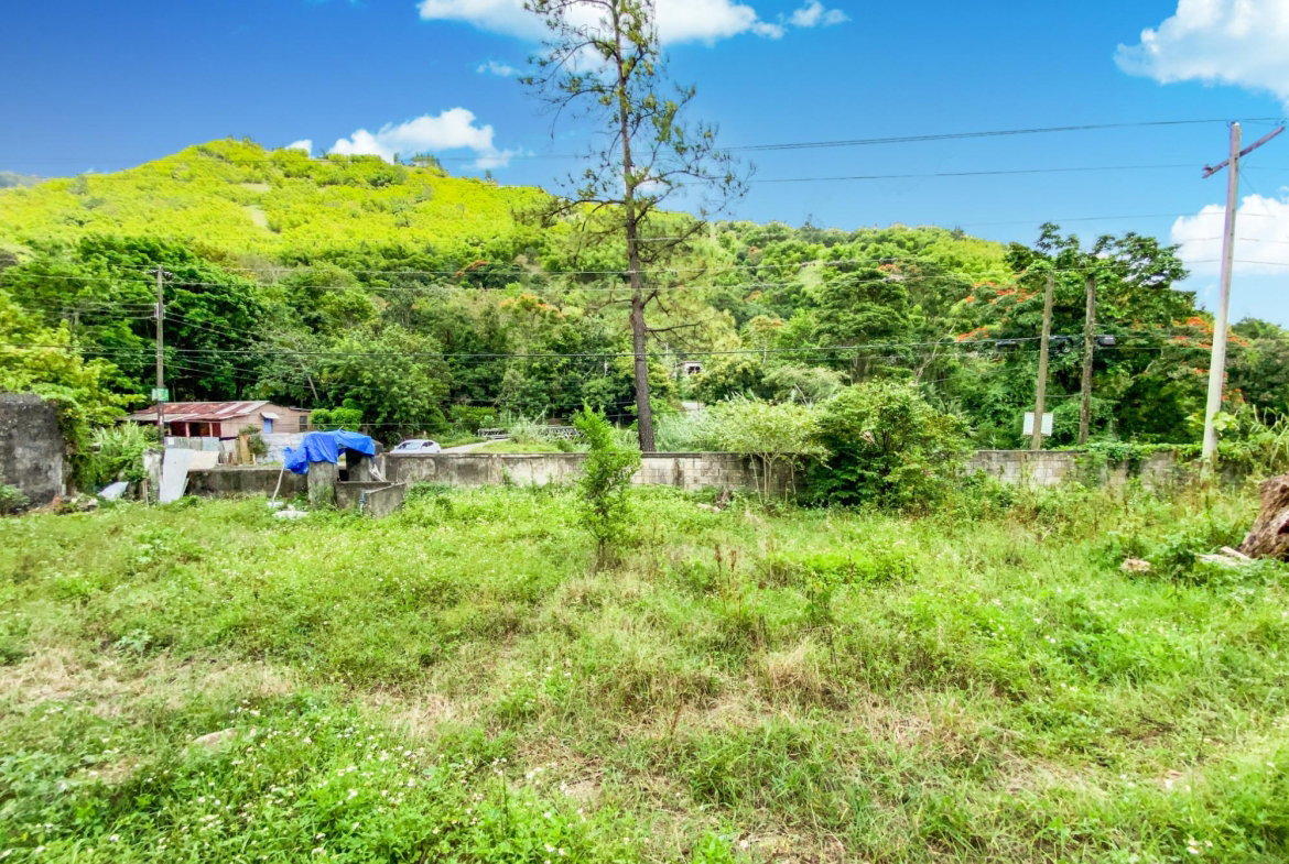 Second image of Cedar Valley in Cedar Valley, St. Thomas, Jamaica - property is For Sale