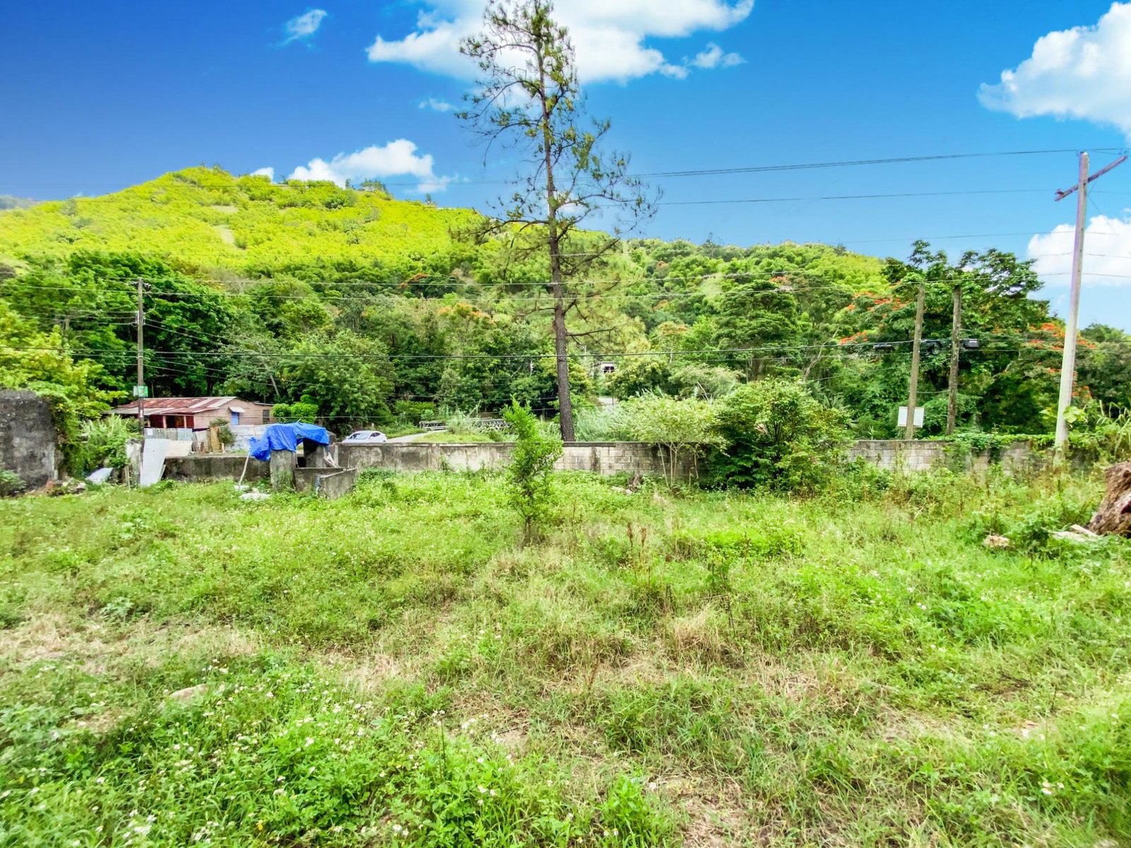 Second image of Cedar Valley in Cedar Valley, St. Thomas, Jamaica - property is For Sale