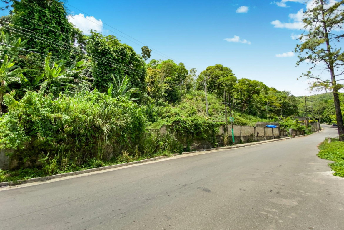 Eleventh image of Cedar Valley in Cedar Valley, St. Thomas, Jamaica - property is For Sale