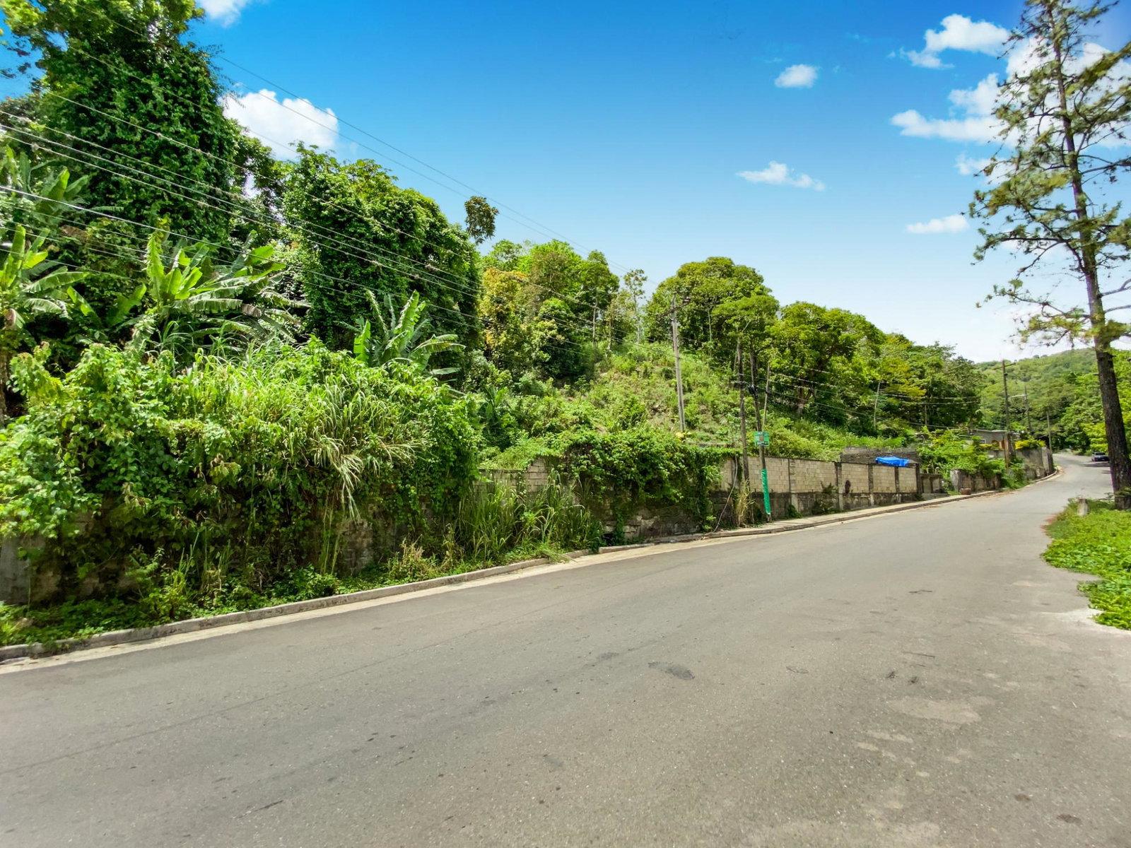 Eleventh image of Cedar Valley in Cedar Valley, St. Thomas, Jamaica - property is For Sale