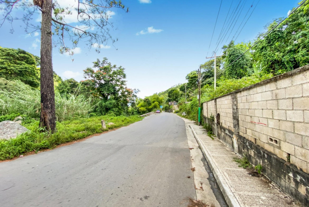 Twelfth image of Cedar Valley in Cedar Valley, St. Thomas, Jamaica - property is For Sale