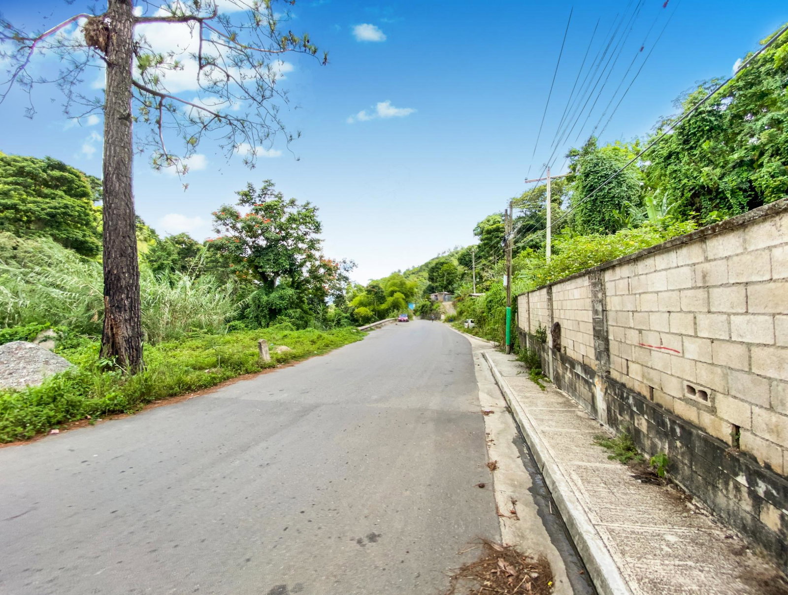 Twelfth image of Cedar Valley in Cedar Valley, St. Thomas, Jamaica - property is For Sale