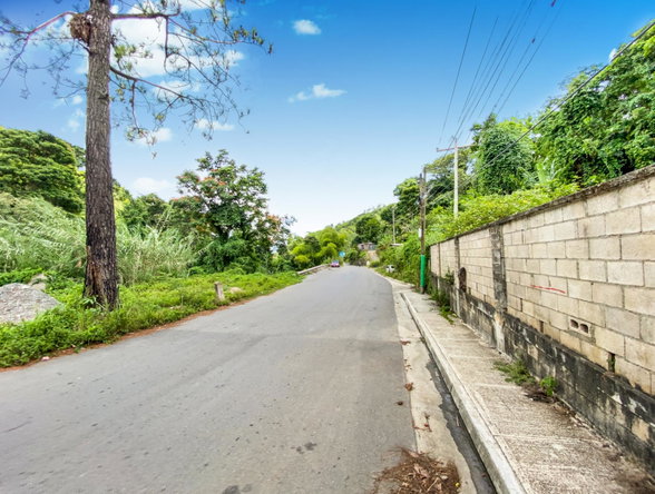 Twelfth image of Cedar Valley in Cedar Valley, St. Thomas, Jamaica - property is For Sale