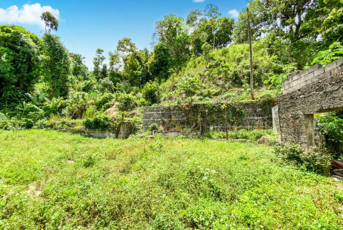 First image of Cedar Valley in Cedar Valley, St. Thomas, Jamaica - property is For Sale