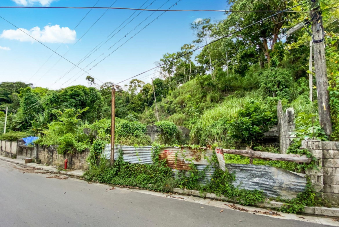 Thirteenth image of Cedar Valley in Cedar Valley, St. Thomas, Jamaica - property is For Sale