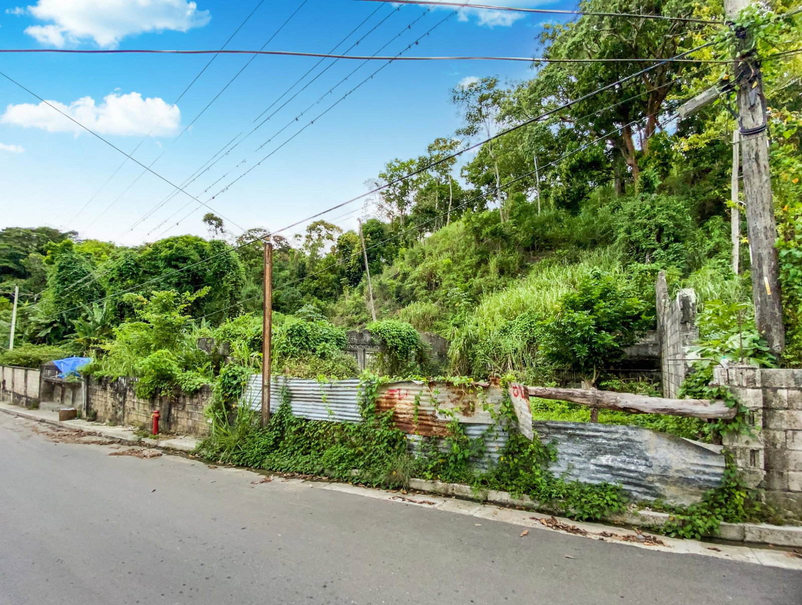 Thirteenth image of Cedar Valley in Cedar Valley, St. Thomas, Jamaica - property is For Sale