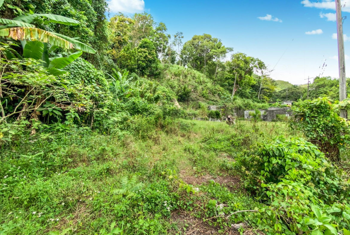 Third image of Cedar Valley in Cedar Valley, St. Thomas, Jamaica - property is For Sale
