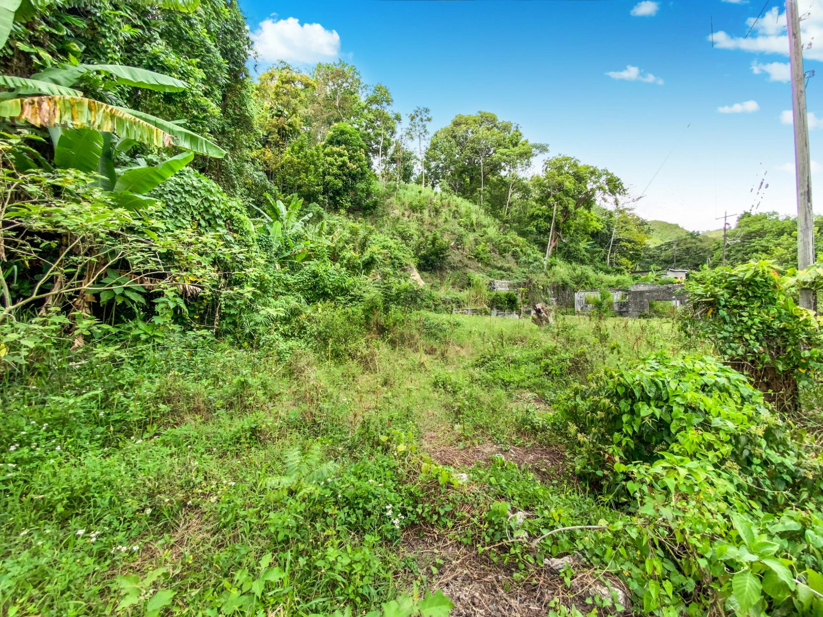 Third image of Cedar Valley in Cedar Valley, St. Thomas, Jamaica - property is For Sale