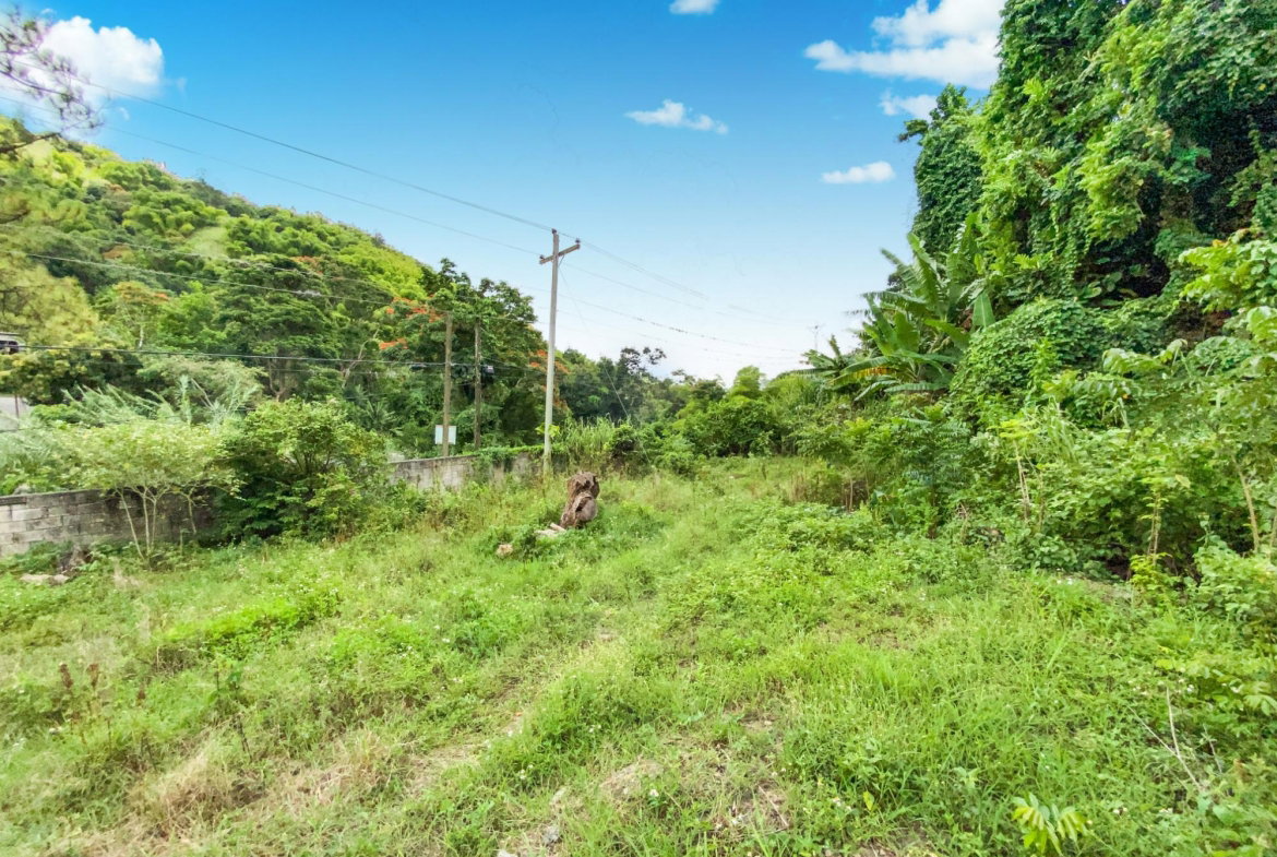 Fourth image of Cedar Valley in Cedar Valley, St. Thomas, Jamaica - property is For Sale