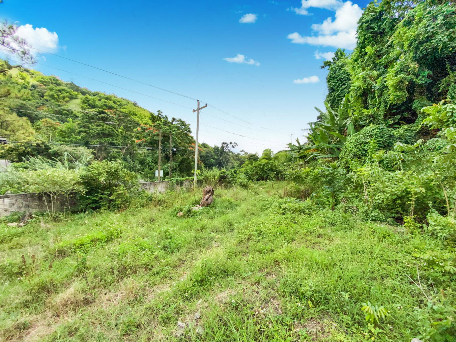 Fourth image of Cedar Valley in Cedar Valley, St. Thomas, Jamaica - property is For Sale