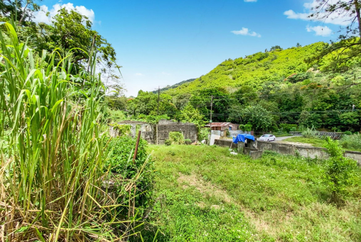 Fifth image of Cedar Valley in Cedar Valley, St. Thomas, Jamaica - property is For Sale