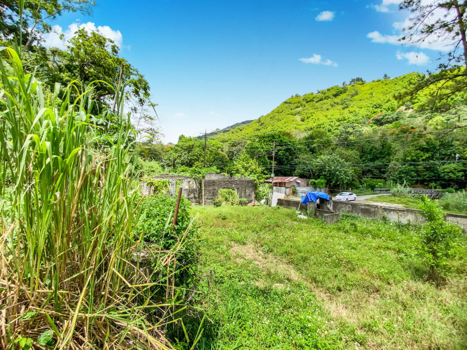 Fifth image of Cedar Valley in Cedar Valley, St. Thomas, Jamaica - property is For Sale