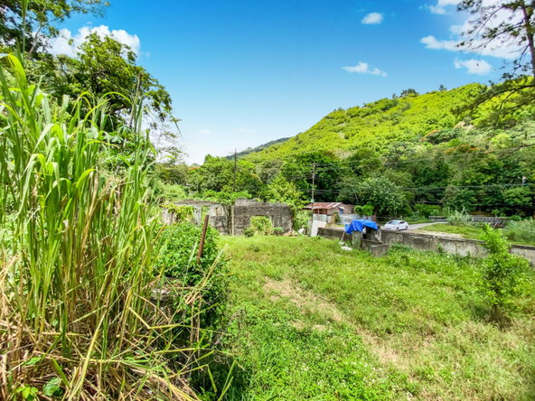 Fifth image of Cedar Valley in Cedar Valley, St. Thomas, Jamaica - property is For Sale