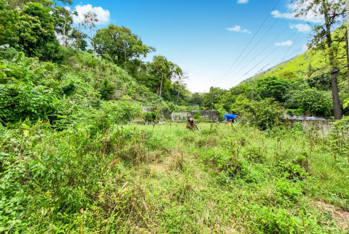 Sixth image of Cedar Valley in Cedar Valley, St. Thomas, Jamaica - property is For Sale