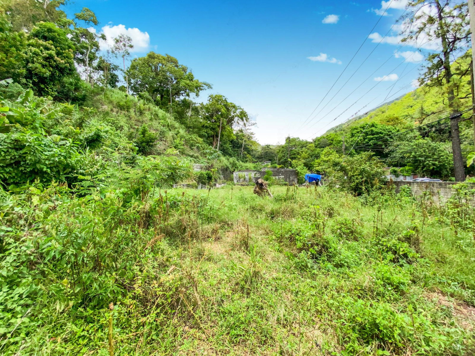 Sixth image of Cedar Valley in Cedar Valley, St. Thomas, Jamaica - property is For Sale