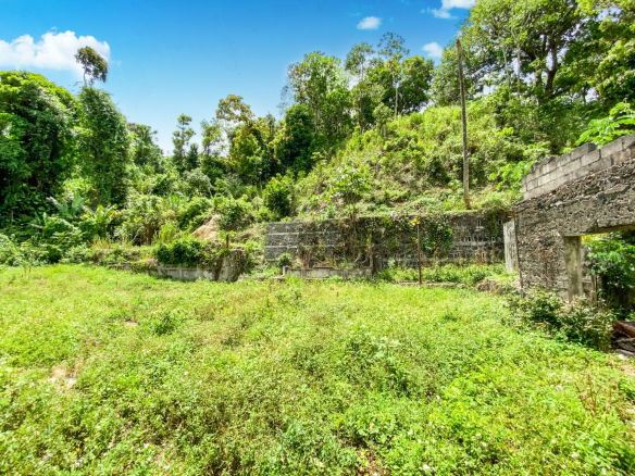 First image of Cedar Valley in Cedar Valley, St. Thomas, Jamaica - property is For Sale