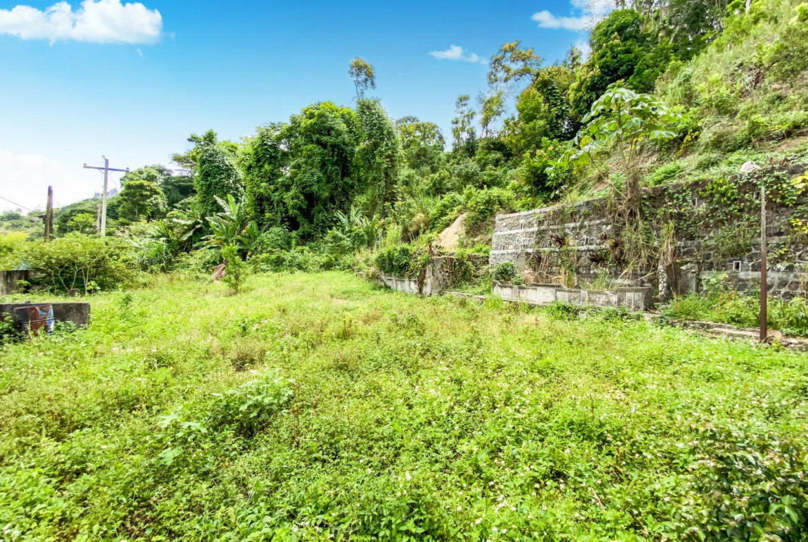 Seventh image of Cedar Valley in Cedar Valley, St. Thomas, Jamaica - property is For Sale