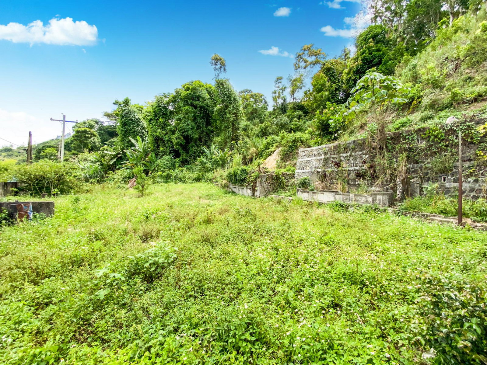 Seventh image of Cedar Valley in Cedar Valley, St. Thomas, Jamaica - property is For Sale