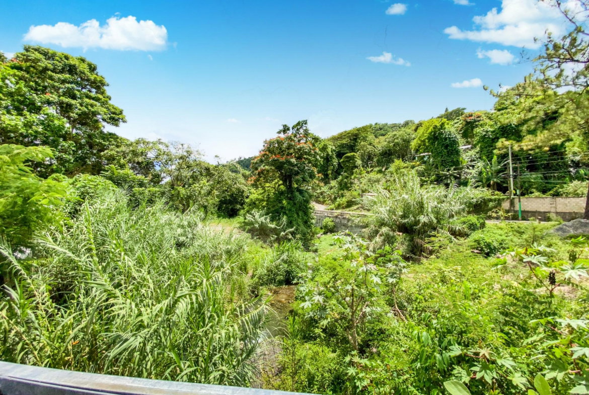 Eighth image of Cedar Valley in Cedar Valley, St. Thomas, Jamaica - property is For Sale