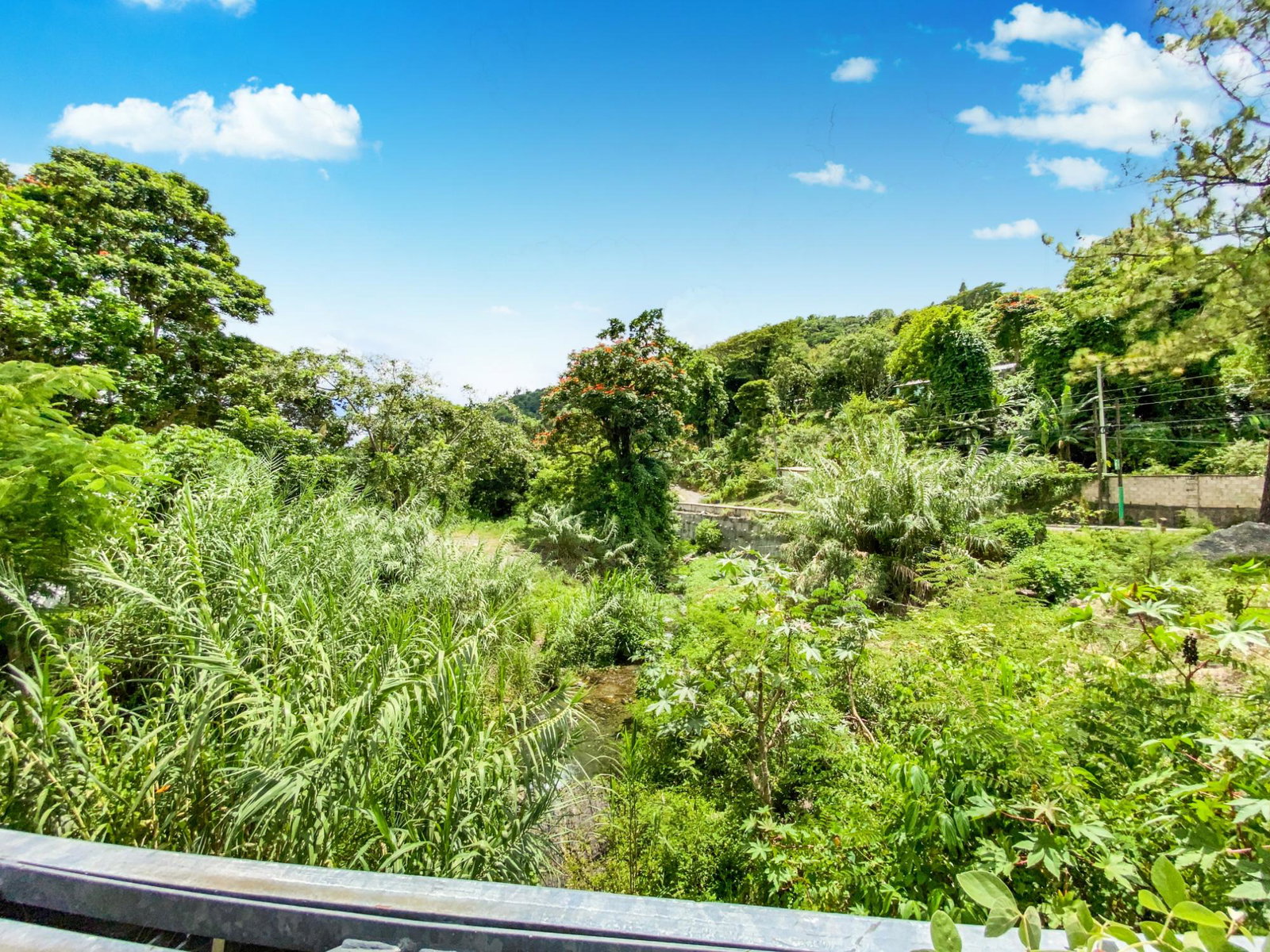 Eighth image of Cedar Valley in Cedar Valley, St. Thomas, Jamaica - property is For Sale