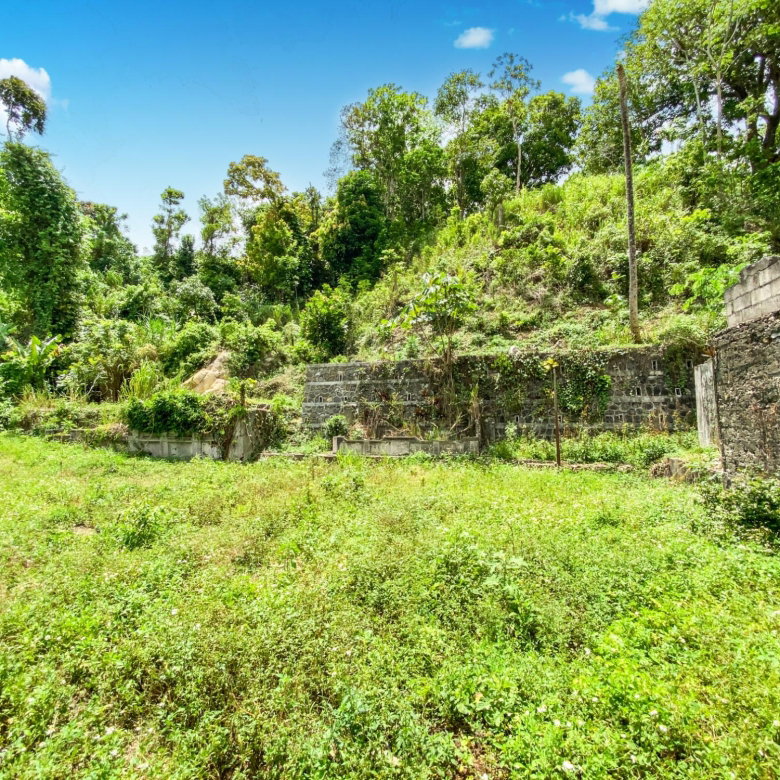 First image of Cedar Valley in Cedar Valley, St. Thomas, Jamaica - property is For Sale