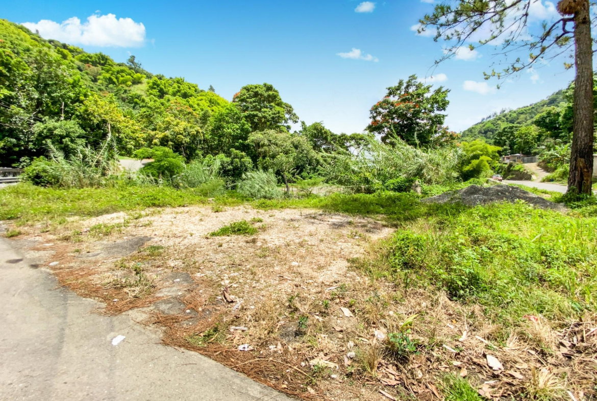 Ninth image of Cedar Valley in Cedar Valley, St. Thomas, Jamaica - property is For Sale