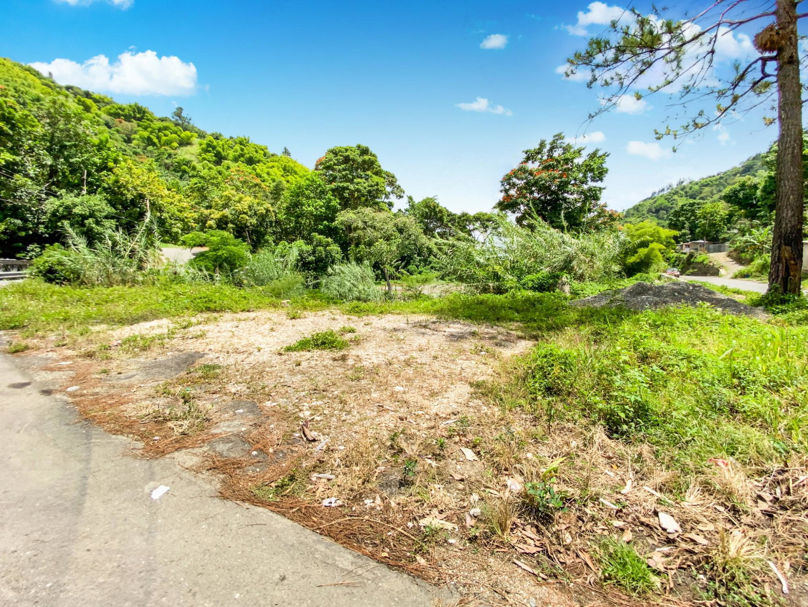 Ninth image of Cedar Valley in Cedar Valley, St. Thomas, Jamaica - property is For Sale
