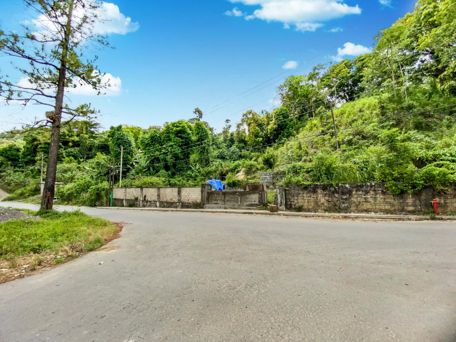 Tenth image of Cedar Valley in Cedar Valley, St. Thomas, Jamaica - property is For Sale