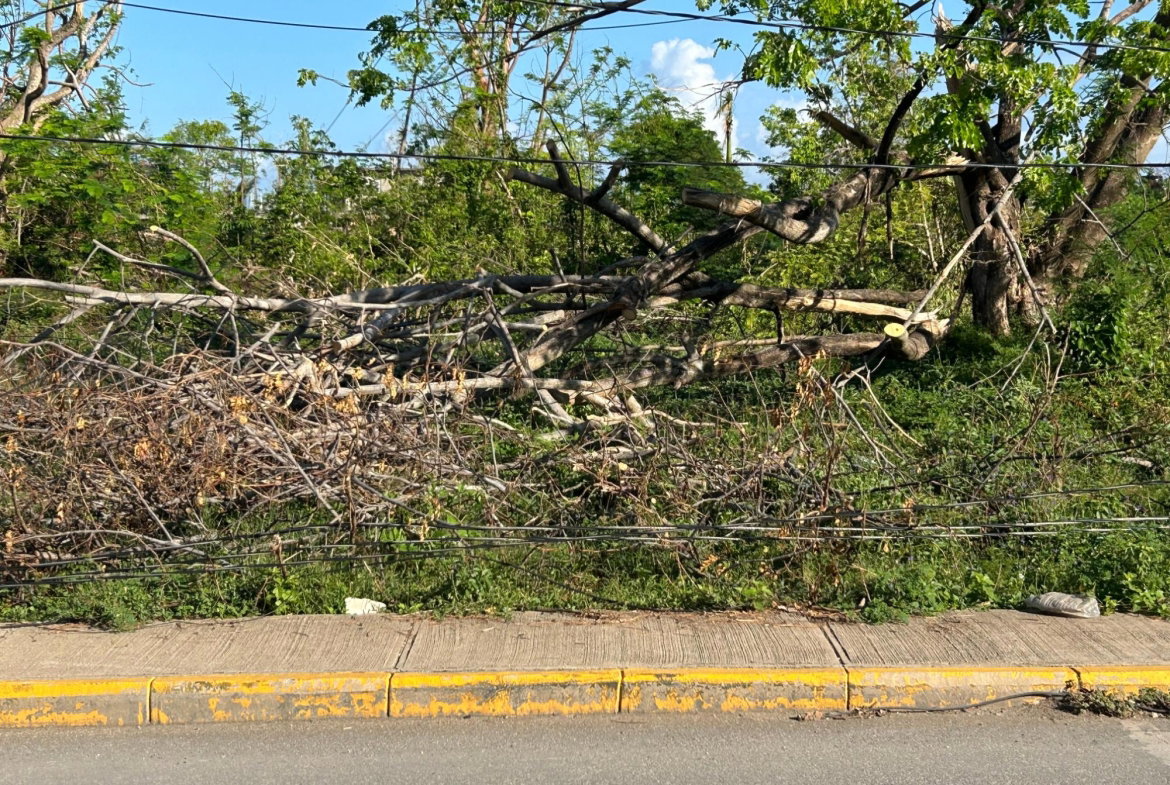 Second image of Dr. Chang Blvd. Home Hill| Montego Bay in Norwood, St. James, Jamaica - property is For Rent