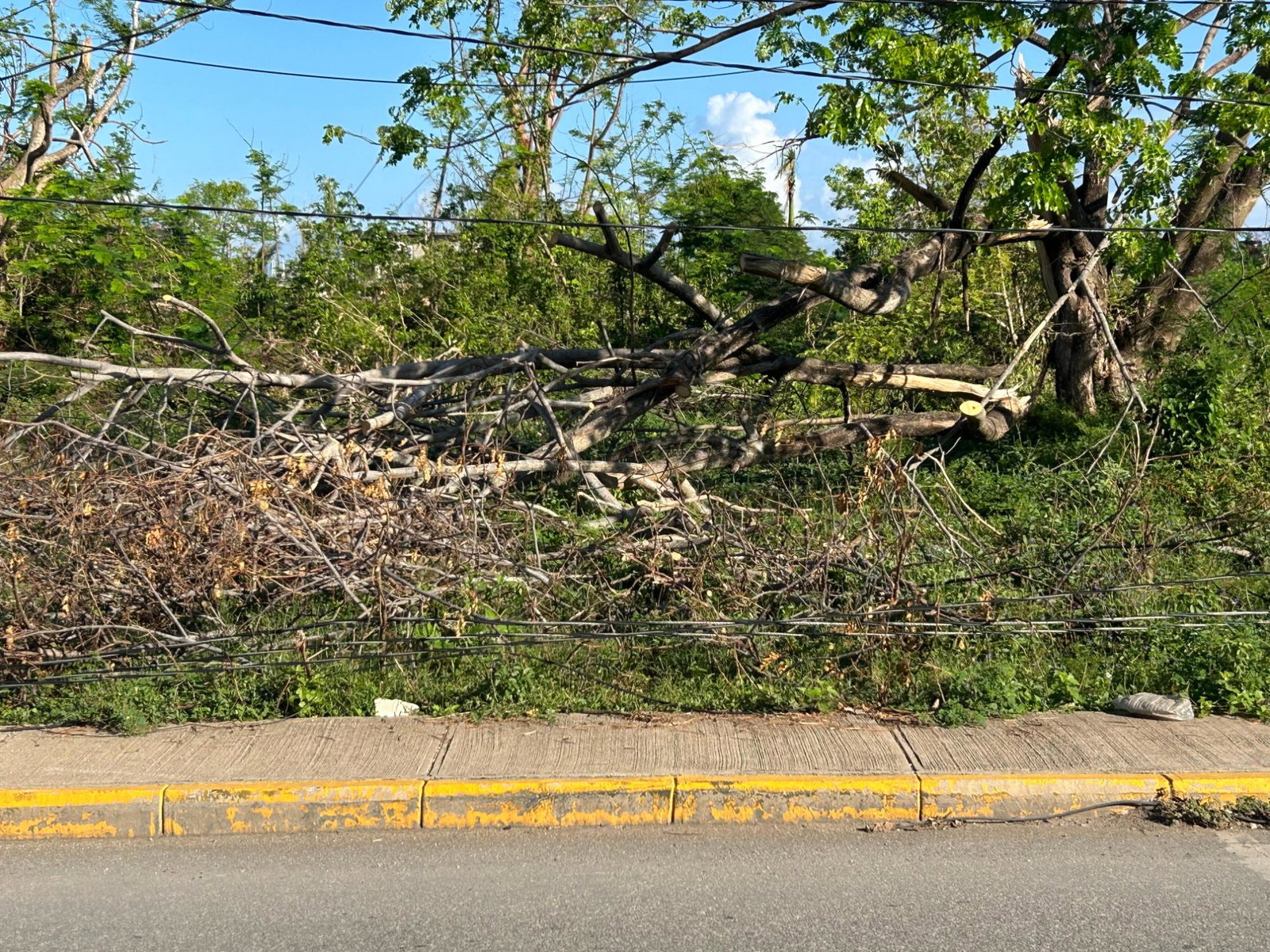 Second image of Dr. Chang Blvd. Home Hill| Montego Bay in Norwood, St. James, Jamaica - property is For Rent