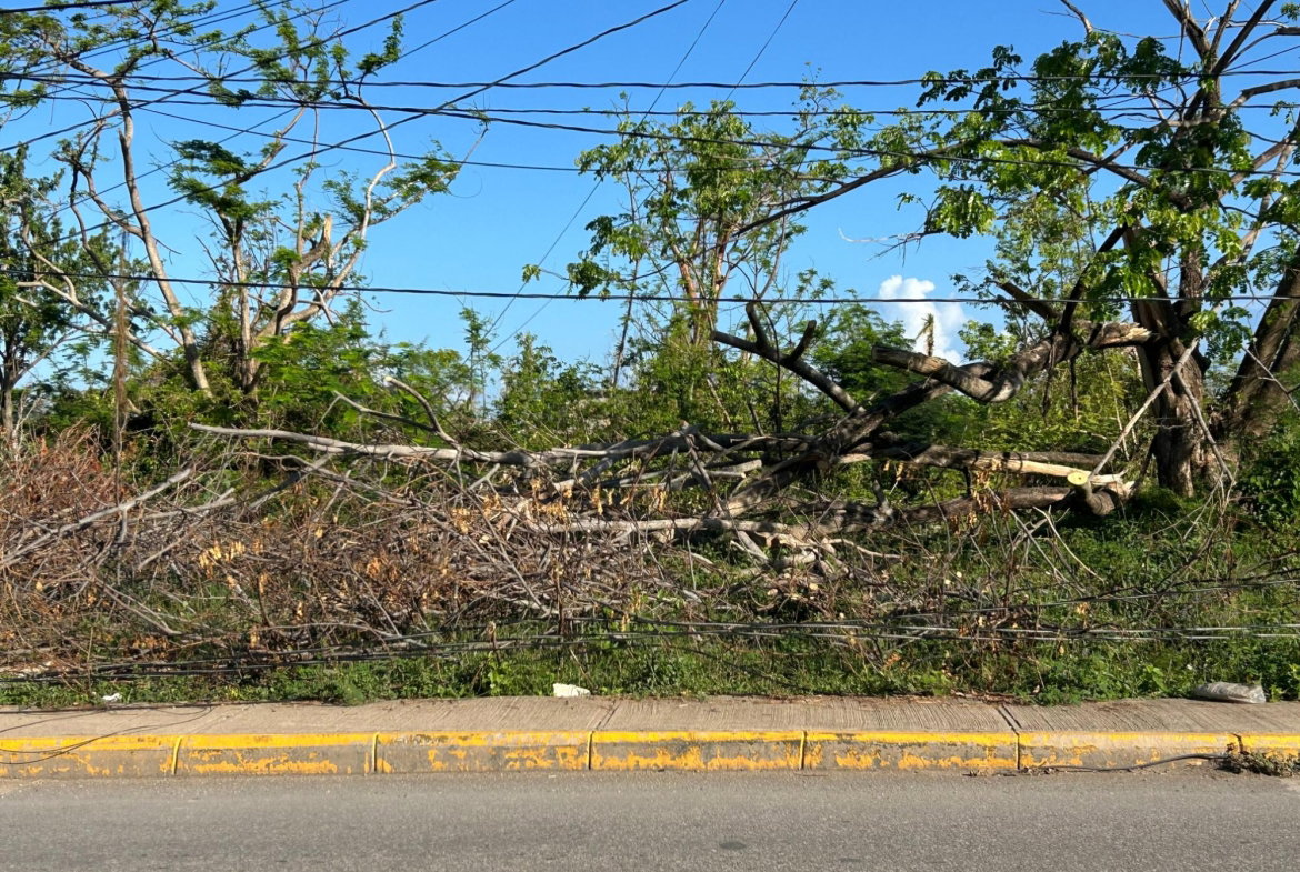 Third image of Dr. Chang Blvd. Home Hill| Montego Bay in Norwood, St. James, Jamaica - property is For Rent