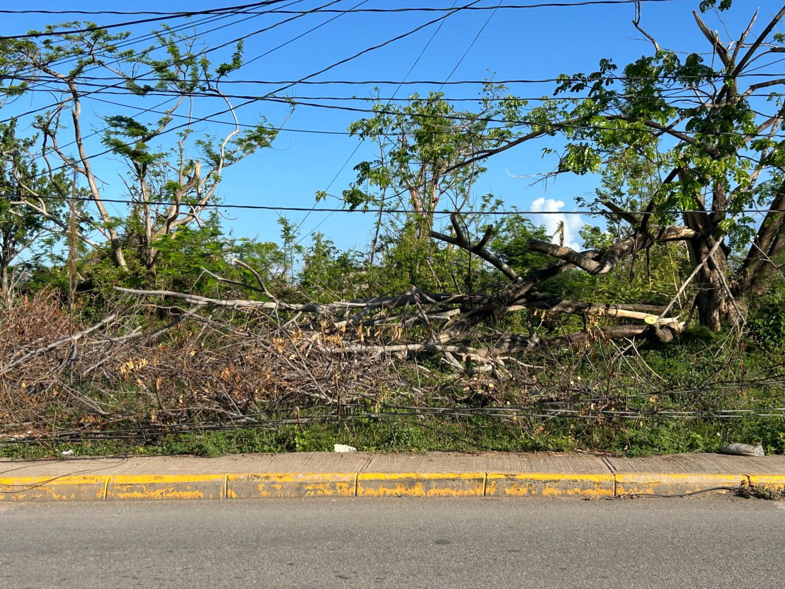 Third image of Dr. Chang Blvd. Home Hill| Montego Bay in Norwood, St. James, Jamaica - property is For Rent