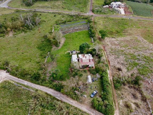 Second image of Daleys Grove Knock Patric in Mandeville, Manchester, Jamaica - property is For Sale