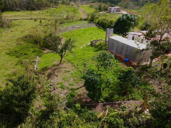 Eleventh image of Daleys Grove Knock Patric in Mandeville, Manchester, Jamaica - property is For Sale