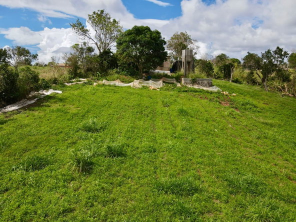 Twelfth image of Daleys Grove Knock Patric in Mandeville, Manchester, Jamaica - property is For Sale