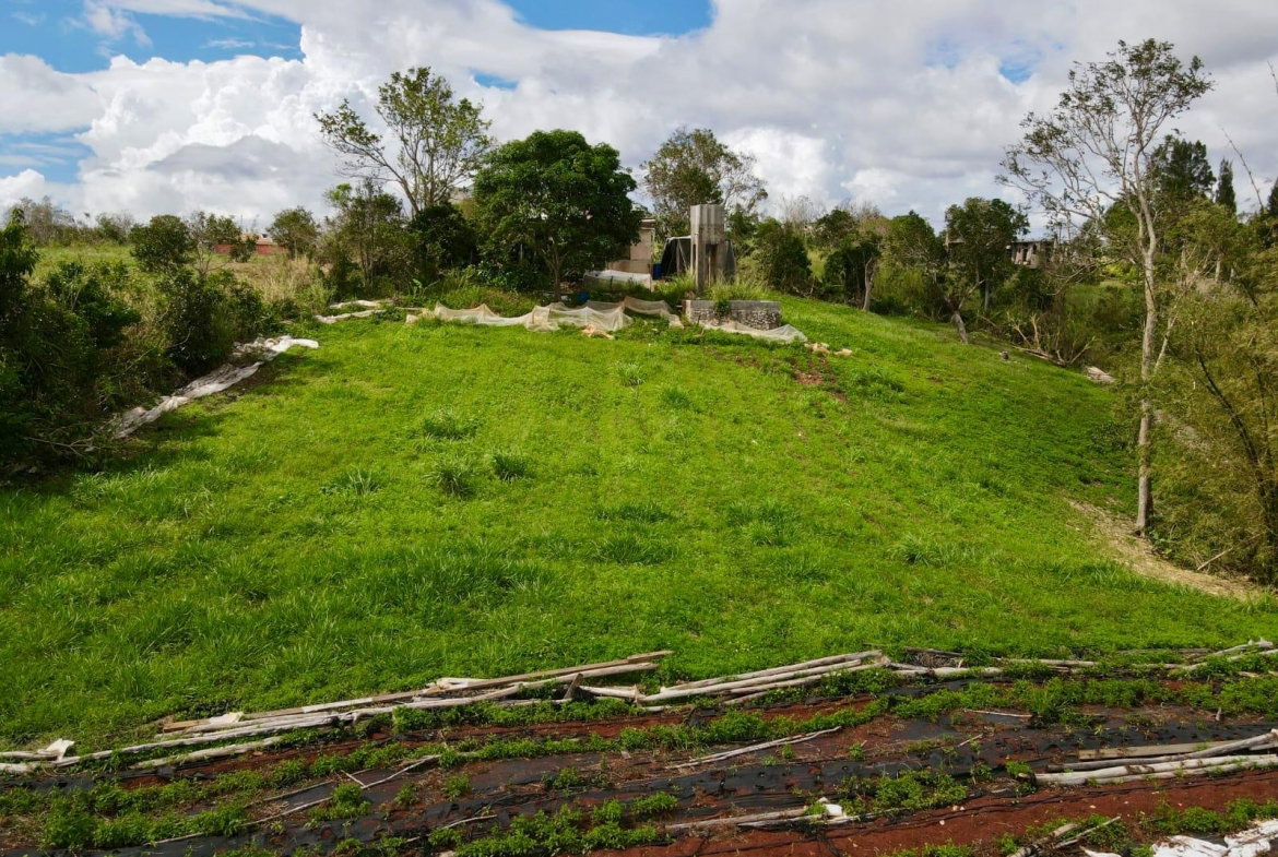 Fourteenth image of Daleys Grove Knock Patric in Mandeville, Manchester, Jamaica - property is For Sale