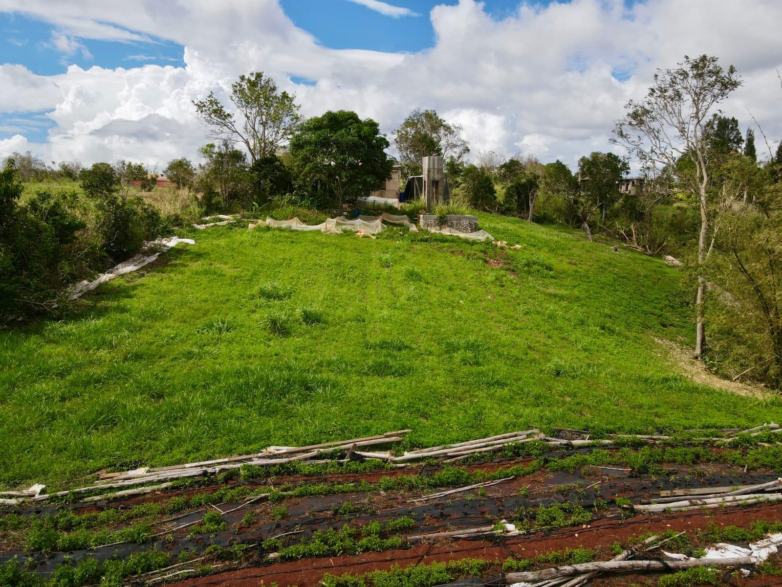 1-Acre-Development-Land-with-Fixer-Upper-Home-for-Sale-in-Daleys-Grove-Knock-Patrick-Manchester-Jamaica Fourteenth image of Daleys Grove Knock Patric in Mandeville, Manchester, Jamaica - property is For Sale